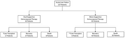 Single-center experience in 127 adult patients, mono or dual artificial liver support therapy, in patients with acute liver failure